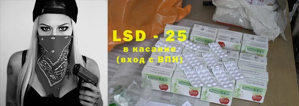 винт Алзамай