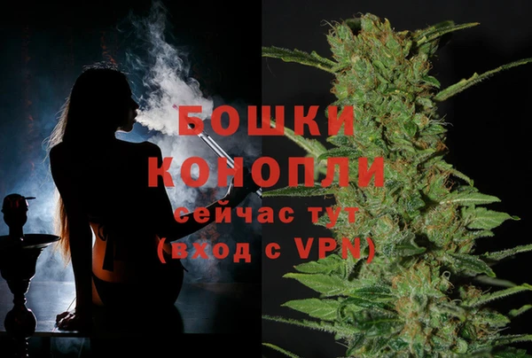 метадон Пестово