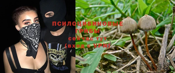 ALPHA PVP Арсеньев